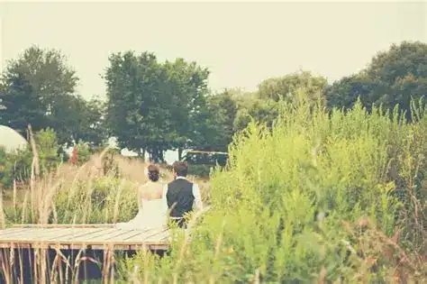 oip.q4oddlqxcxdbov9ikd4vdqhae7